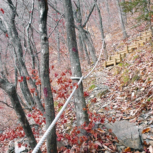 SE-b599d768-5752-4d69-a82b-d46fe0519208.jpg?type=w1