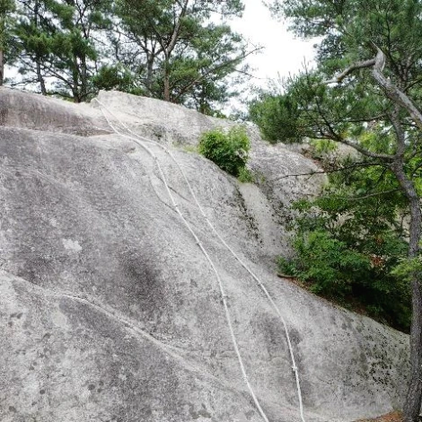 SE-797fe50d-b369-45f9-8c49-6d9a9555b575.jpg?type=w1