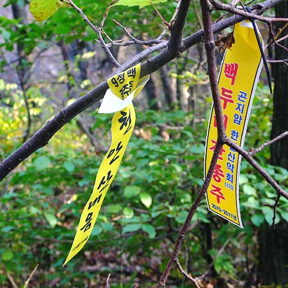 SE-1a2387cc-780d-41ab-850a-0a7899d79948.jpg?type=w1