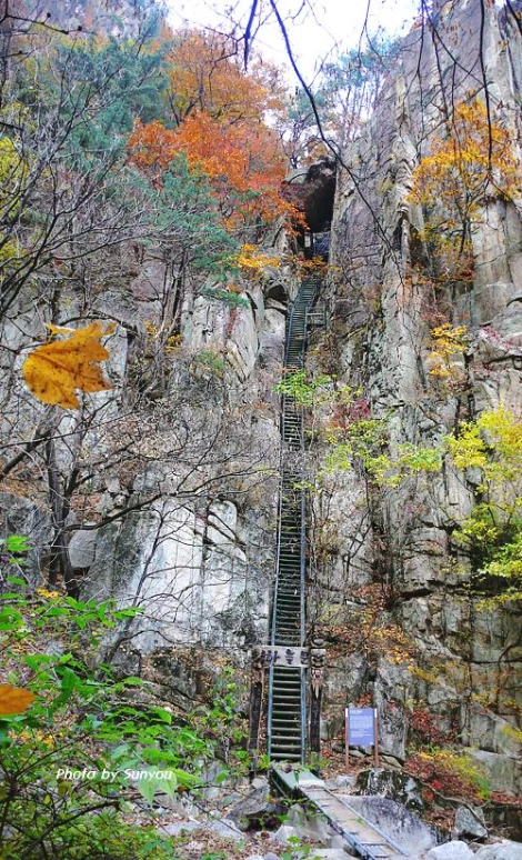 SE-11cf4d01-eb33-48a7-919d-599c3f3e4794.jpg?type=w1