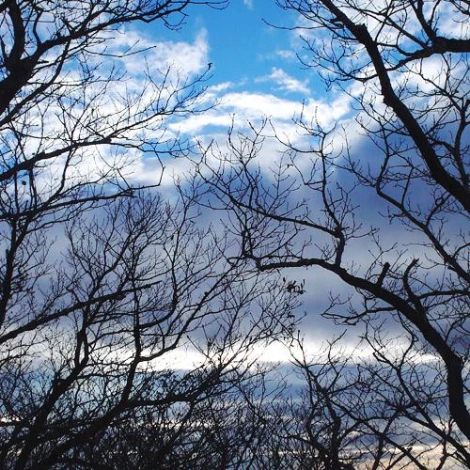 SE-f4e584bd-cb81-40d7-bdaf-a7fb229507b2.jpg?type=w1