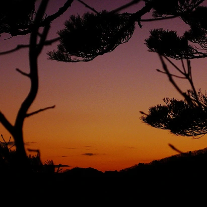 SE-0948d3db-4cd3-4cd5-a3f6-b34ac5d84baa.jpg?type=w1