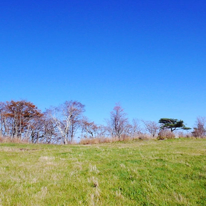 SE-2e03d2d6-023d-4b1a-aca6-4ab56d97b71e.jpg?type=w1