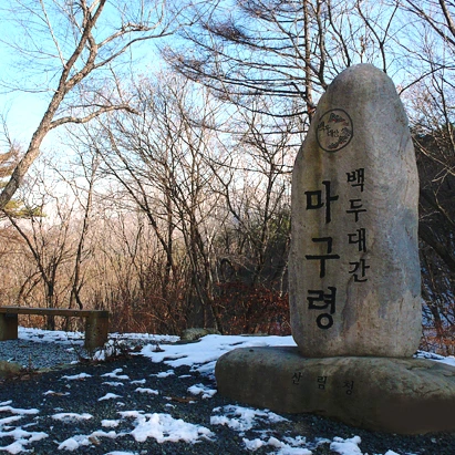 SE-d71dcc0e-f257-49a9-960e-6b4b7fd8b017.png?type=w1