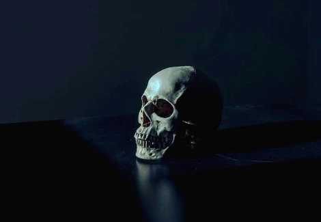 웹 캡처_2-3-2022_142440_pixabay.com.jpeg