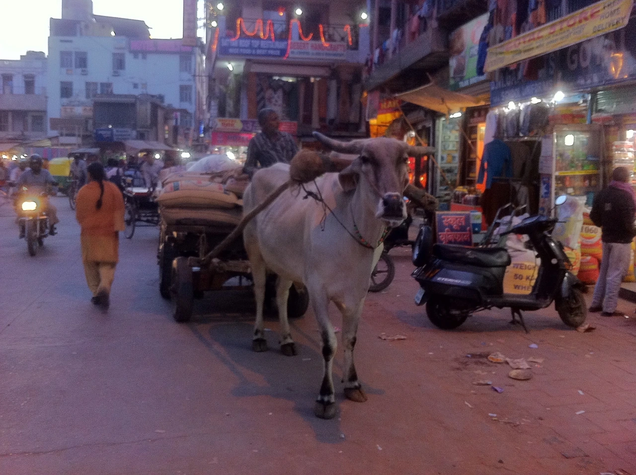 사진 264 (1).jpeg