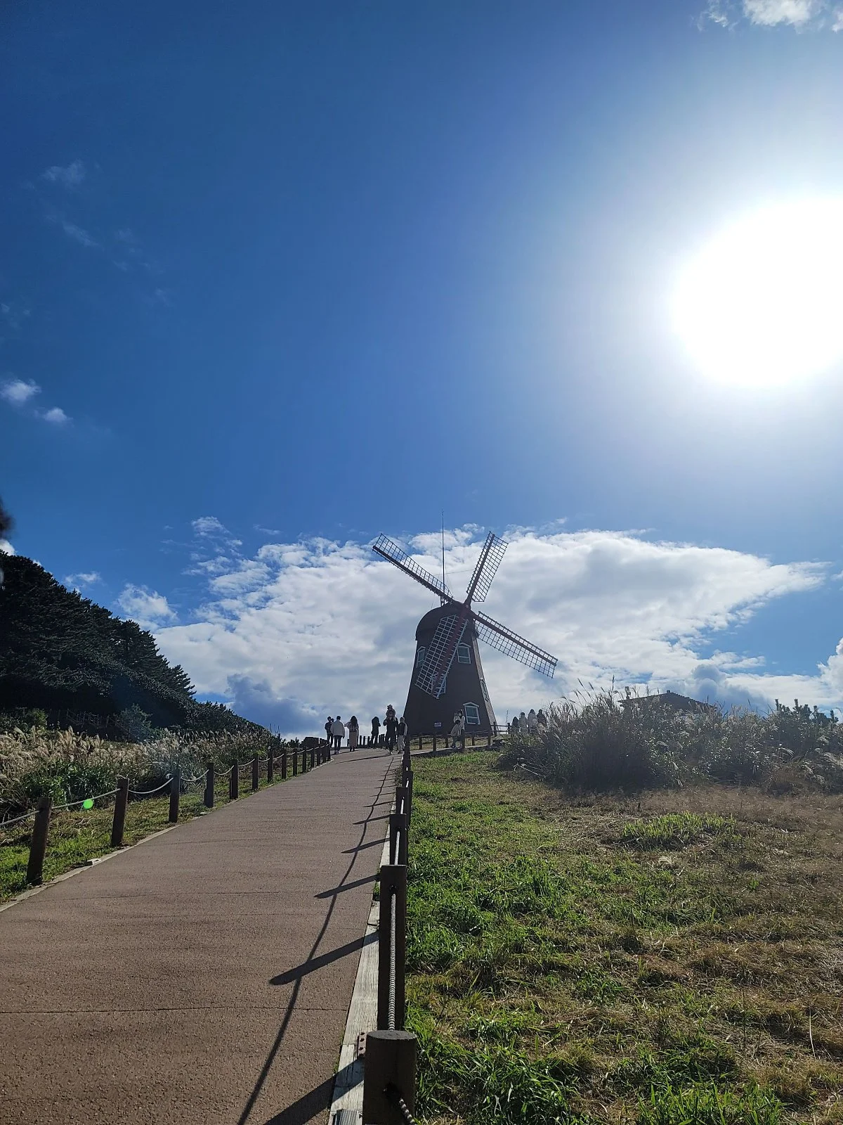 20211109_132504.jpg?type=w1200