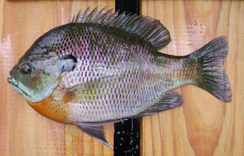 SE-1e0b178b-b629-4c4c-a7bc-dd6d5569e7ce.jpg?type=w966