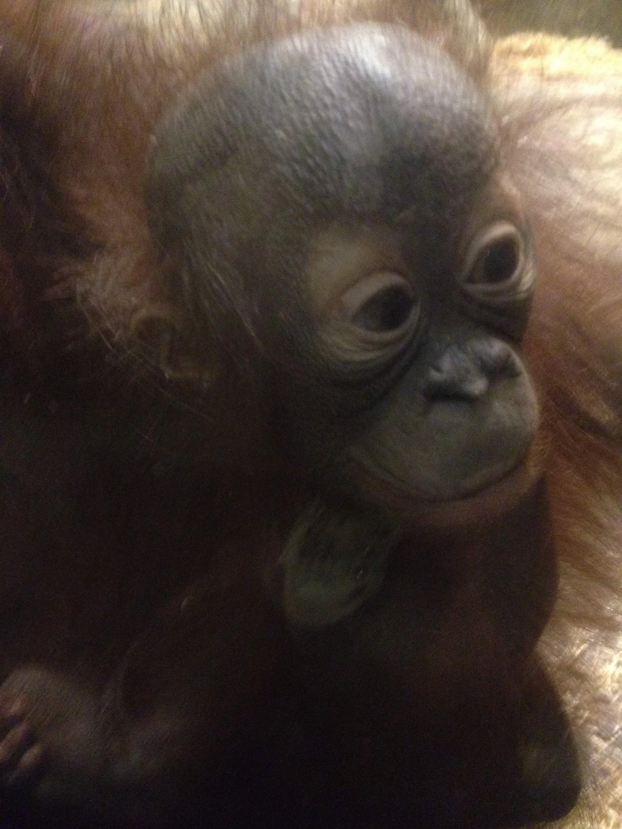 KakaoTalk_Photo_2024-02-27-06-52-23 002.jpeg