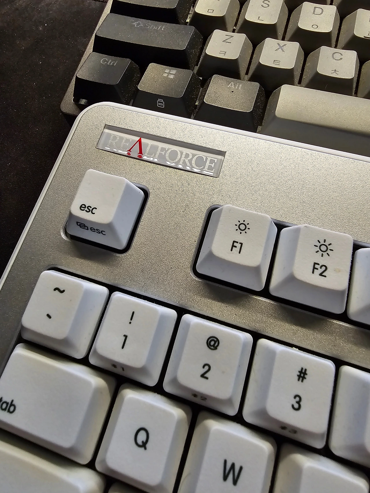 KakaoTalk_Photo_2024-02-21-02-20-57 002.jpeg