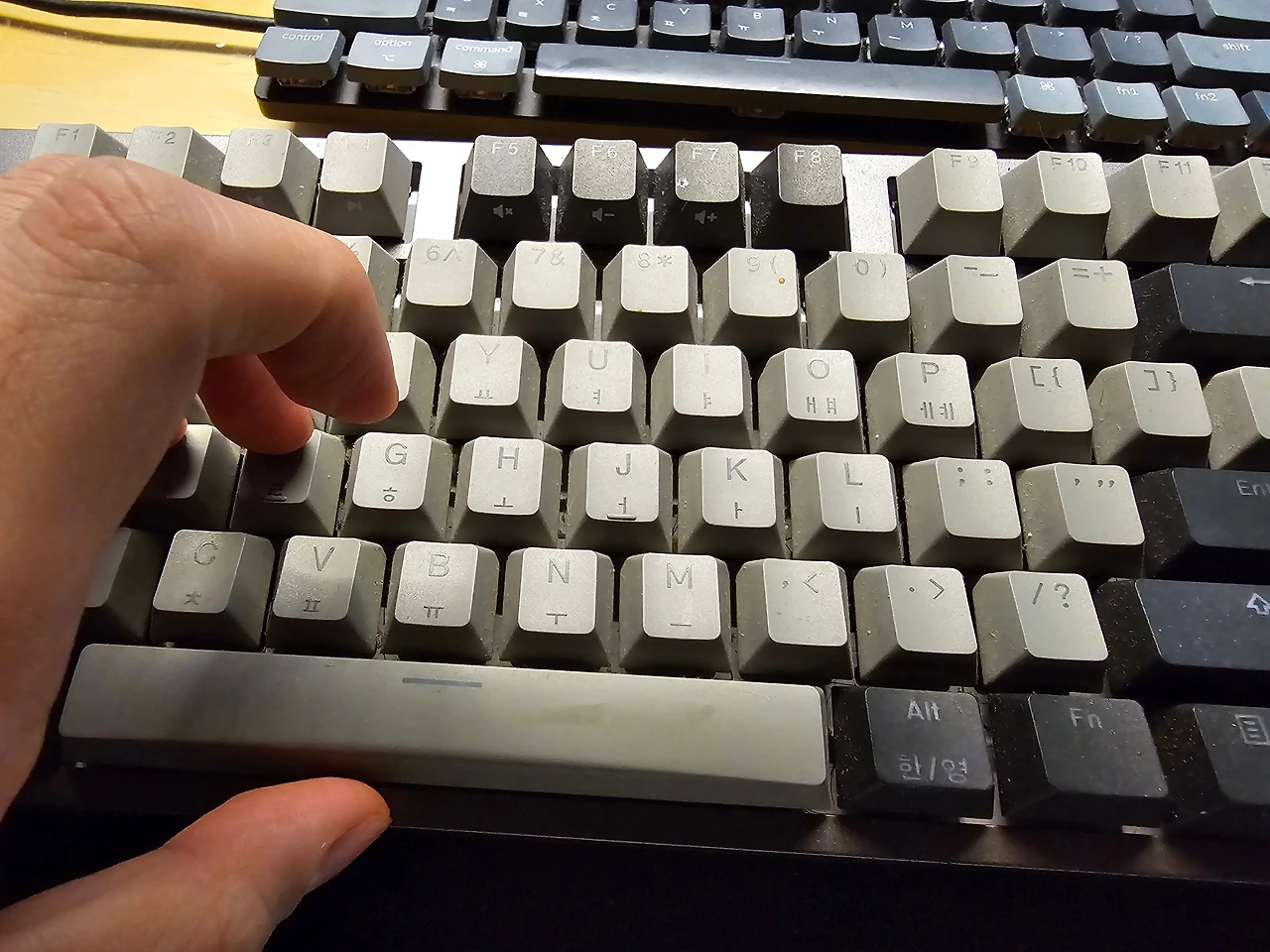 KakaoTalk_Photo_2024-02-21-02-21-55 002.jpeg