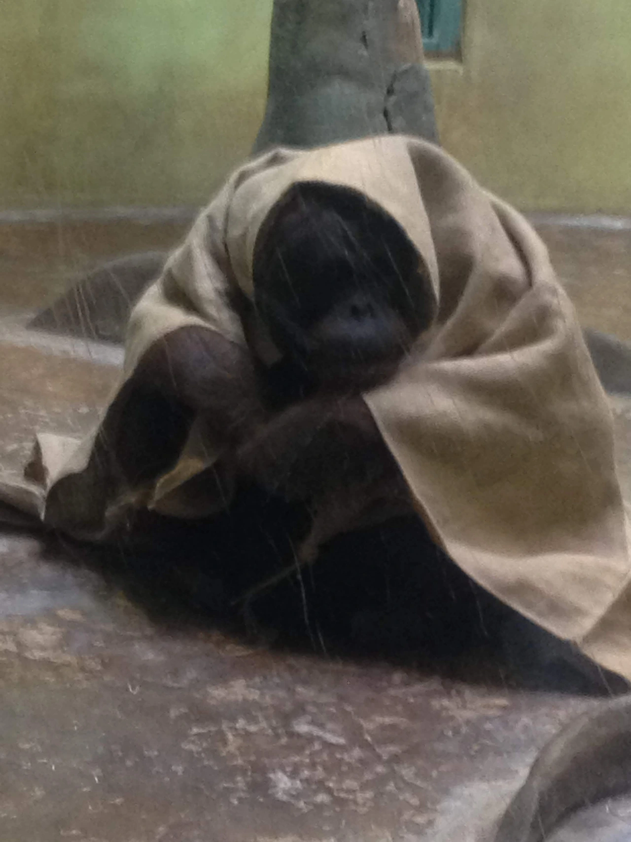 KakaoTalk_Photo_2024-02-27-06-52-22 001.jpeg