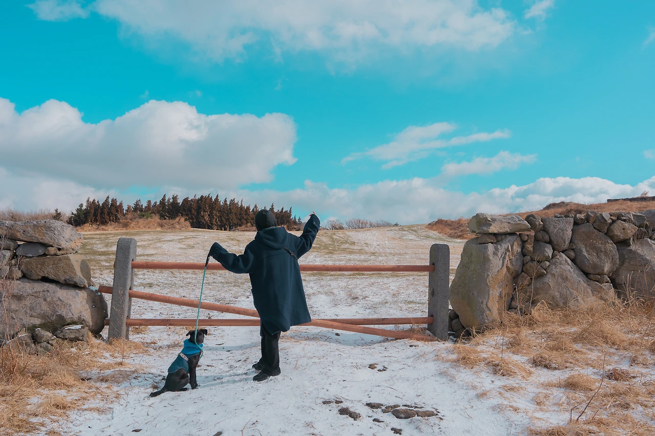 (한라봉) 제주에서 일주일 합숙한 한라봉과 입양자.jpeg
