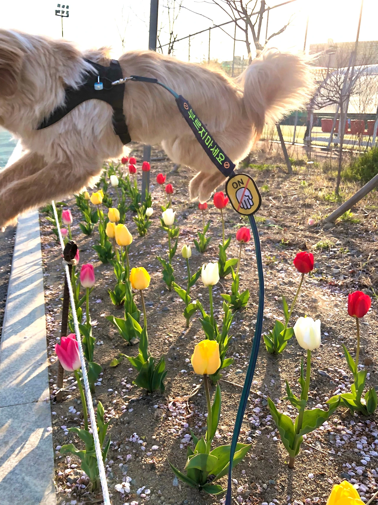 금배 길로 다니지 않던 어린 시절.jpeg