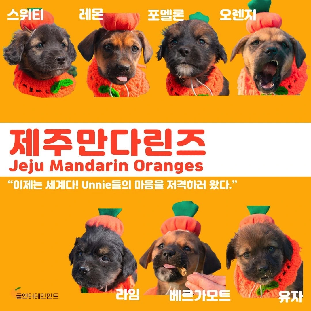 이미지 2022. 3. 11. 오후 1.57.jpeg