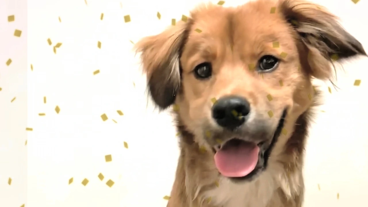 전원데뷔 엔딩요정영상 갈무리 천혜향.jpeg