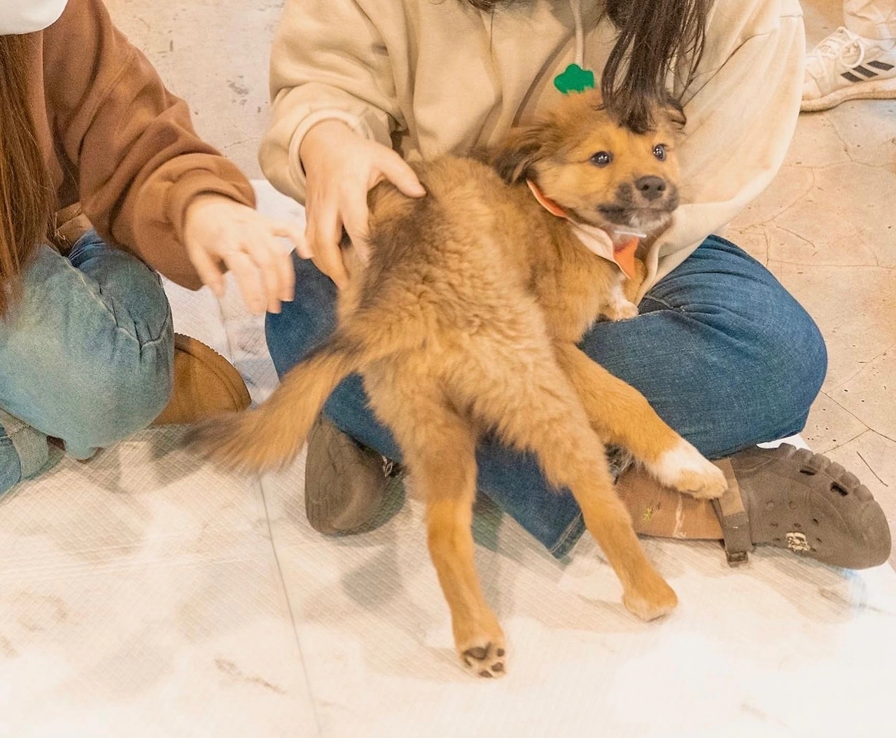 서울팬미팅 현장사진.jpeg