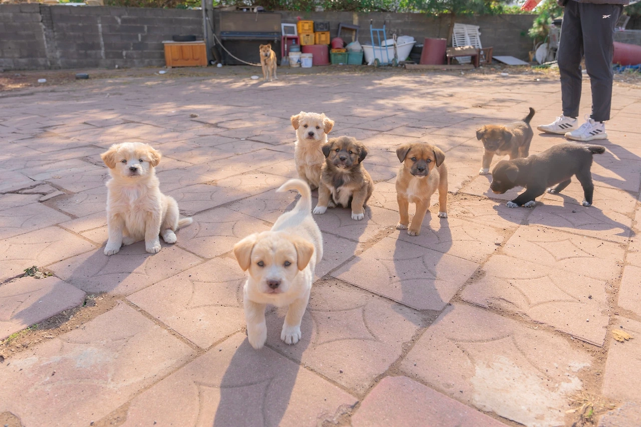 구조 전 탠져린즈.jpeg