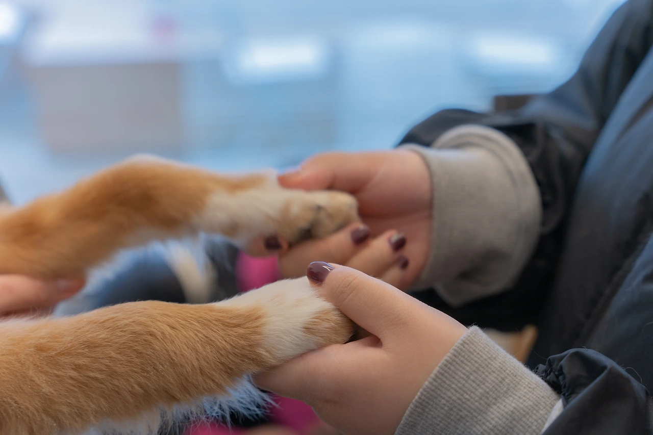 서울팬미팅 현장사진3.jpeg