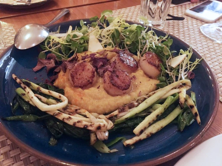 KakaoTalk_20160318_153134761.jpg?type=w2