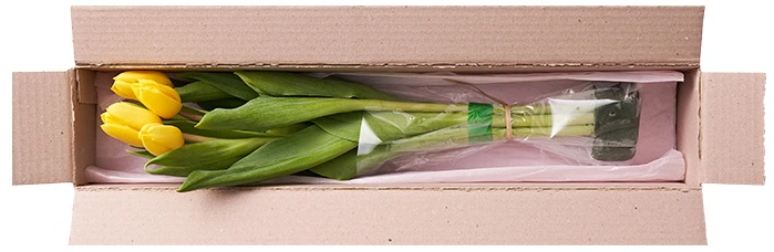 e8LFbxId6kL8A7-_Xd2Lr9hGfTEbOiHd_Gl584iSZp-OvKbfnRm86qSu7obqRexCX9TeZZV26MmQTYG1DSUBhXO0xybKr8nXwBA_WPwSUDXx93FiZQidbPIbgdhyoPuCxJEuvcClVdU-p7LodEBsZiMgOr1RvHnNIztcd1EpjwTUGwn-THFisJSgyK3QK_PRNyXPtdpjQA