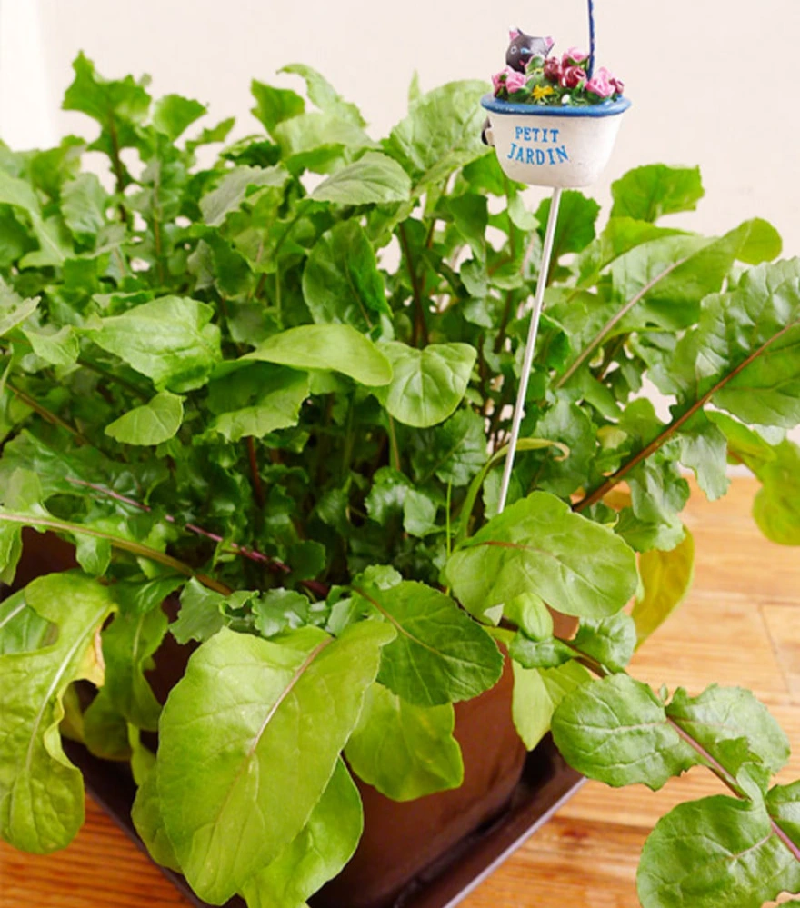 야미가든 홈페이지2.jpeg