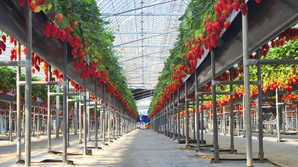 20210331_142255.jpg?type=w966