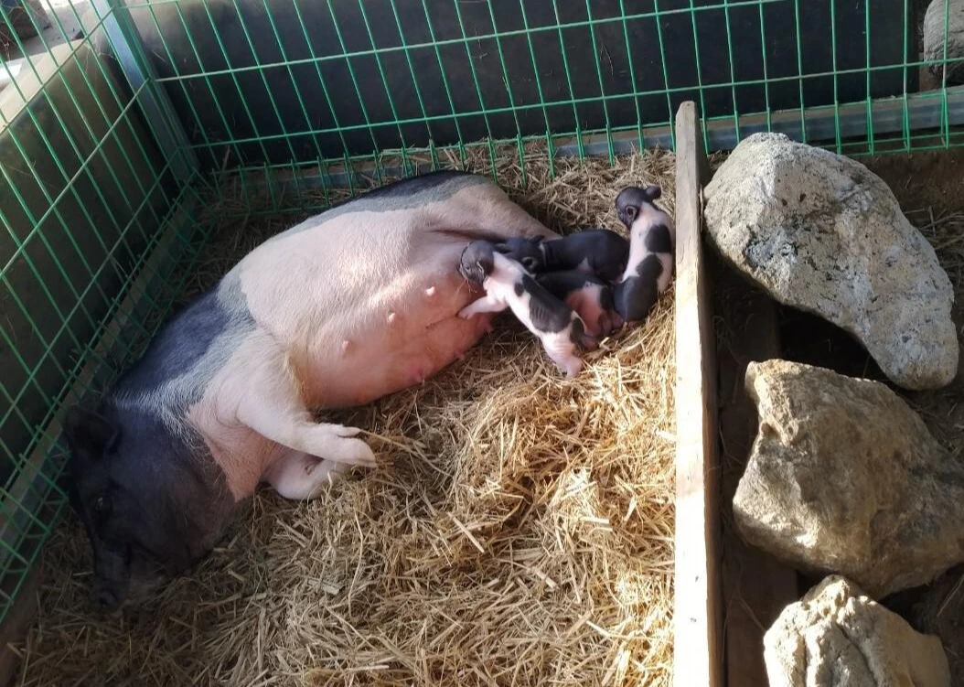 1624229455792.jpg?type=w1600