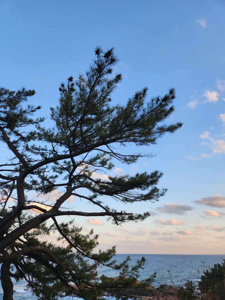 20240113%EF%BC%BF170108.jpg?type=w966