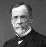 %EC%82%AC%EC%A7%841._%EB%A3%A8%EC%9D%B4_%ED%8C%8C%EC%8A%A4%ED%87%B4%EB%A5%B4%EC%99%80_%EB%B0%B1%EC%8B%A0.jpg?type=w1