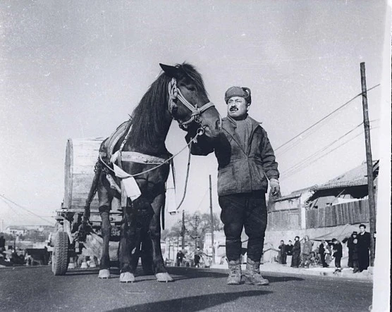 %EC%98%81%ED%99%94_%EB%A7%88%EB%B6%80.jpg?type=w1