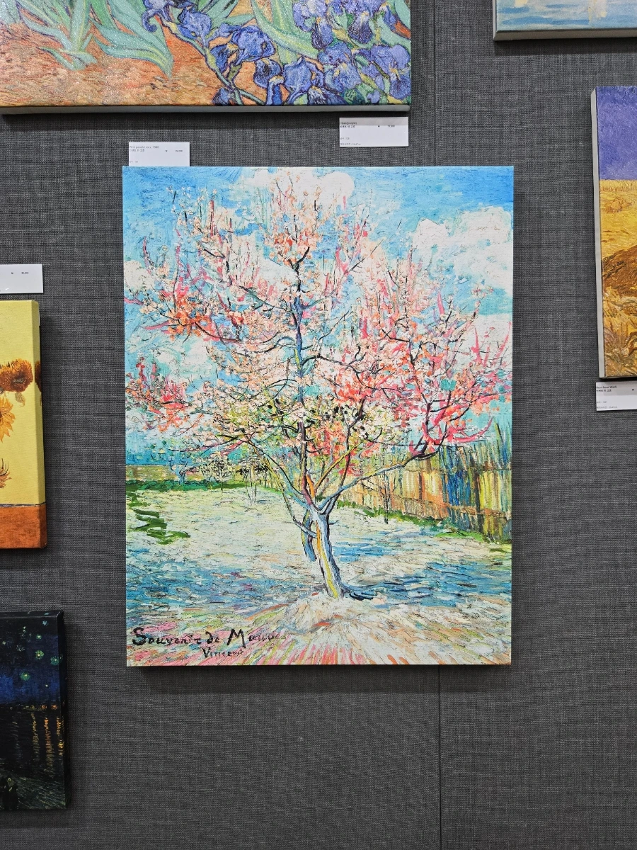 900%EF%BC%BF20250123%EF%BC%BF162241.jpg?type=w1