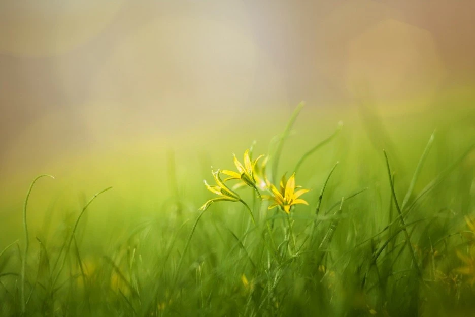 gdb49cb66c9d180ebba60e5384e2c6f8d0b4dd57b75a9908537902d9ad94b0740409c6a51b89.jpg?type=w1