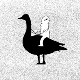 %25B4%25D9%25B1%25D7%25B4%25DA.png?type=w161