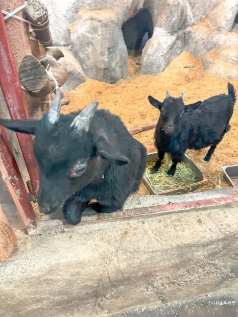 SE-27c37c82-ce68-44a4-b211-e4ace6fbce5b.jpg?type=w466