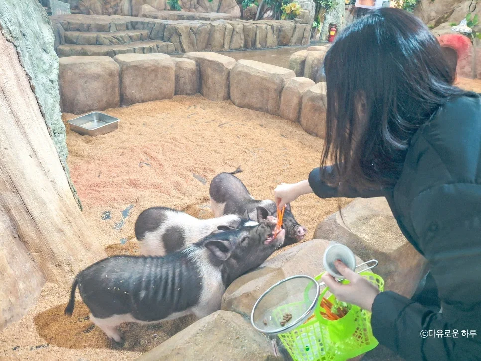 SE-eb7d9bce-5147-4ab1-ba3c-aab18dd35913.jpg?type=w966