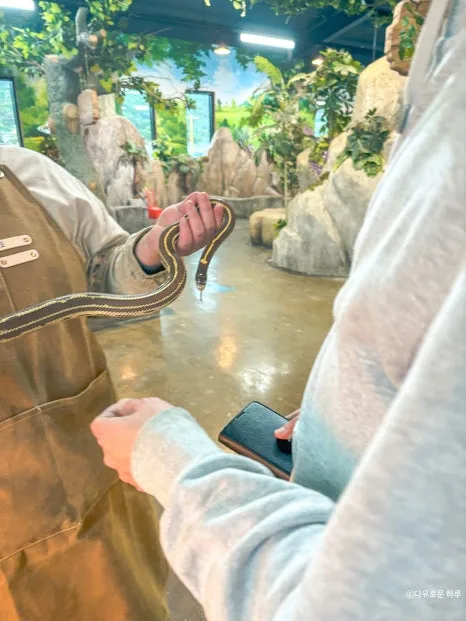 SE-c4656a7a-e1db-45bd-86f1-b24045b67142.jpg?type=w466