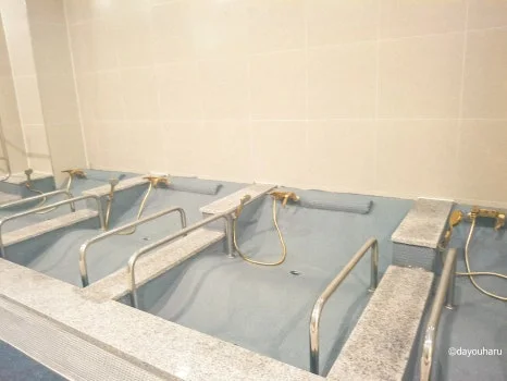 SE-ef0edf7c-8d3f-4f9d-86a7-5eaca86e6a78.jpg?type=w466