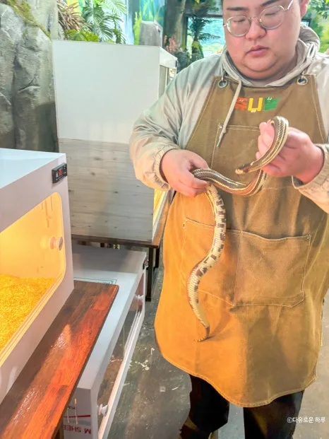 SE-90822f96-ee02-482c-9242-6da922861c8e.jpg?type=w466