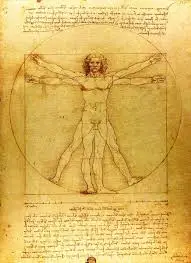 다빈치 해부도.jpeg