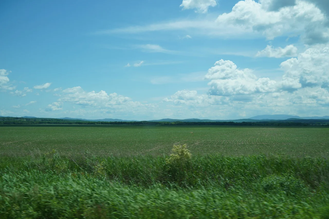 KakaoTalk_Photo_2022-07-05-23-32-23 011.jpeg