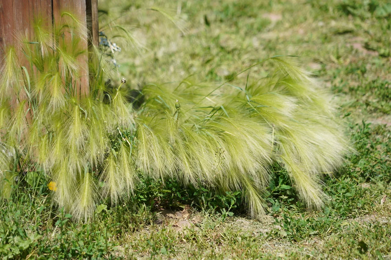 KakaoTalk_Photo_2022-07-19-23-38-58 012.jpeg