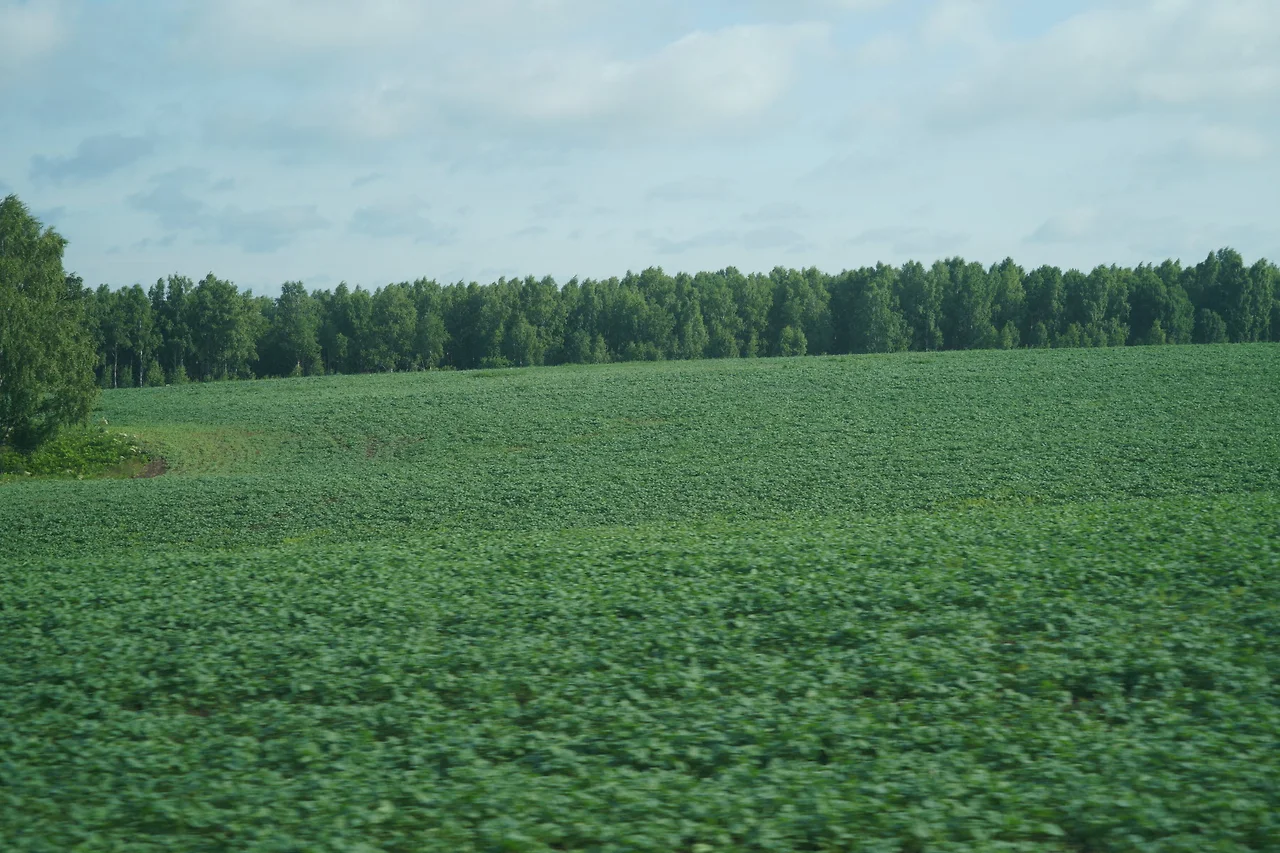 KakaoTalk_Photo_2022-08-17-10-03-10 025.jpeg