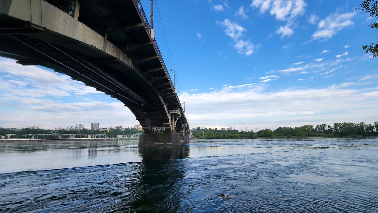 KakaoTalk_Photo_2022-06-20-10-29-08 010.jpeg