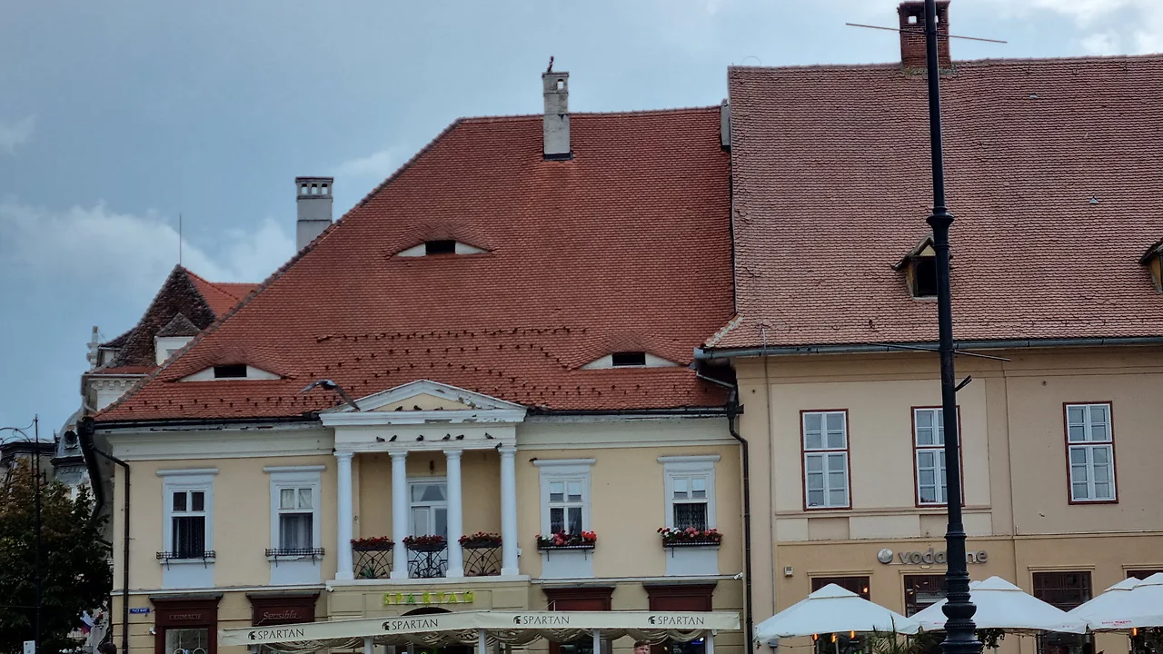 KakaoTalk_Photo_2022-09-18-09-36-10 008.jpeg