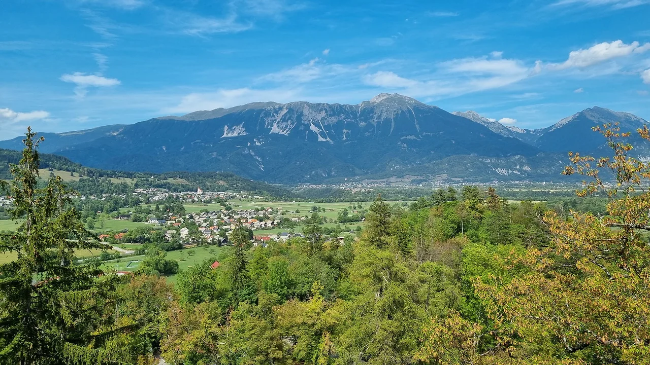 KakaoTalk_Photo_2022-09-03-09-55-24 005.jpeg