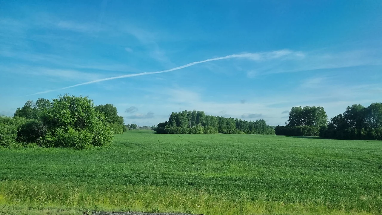 KakaoTalk_Photo_2022-08-17-10-03-07 007.jpeg