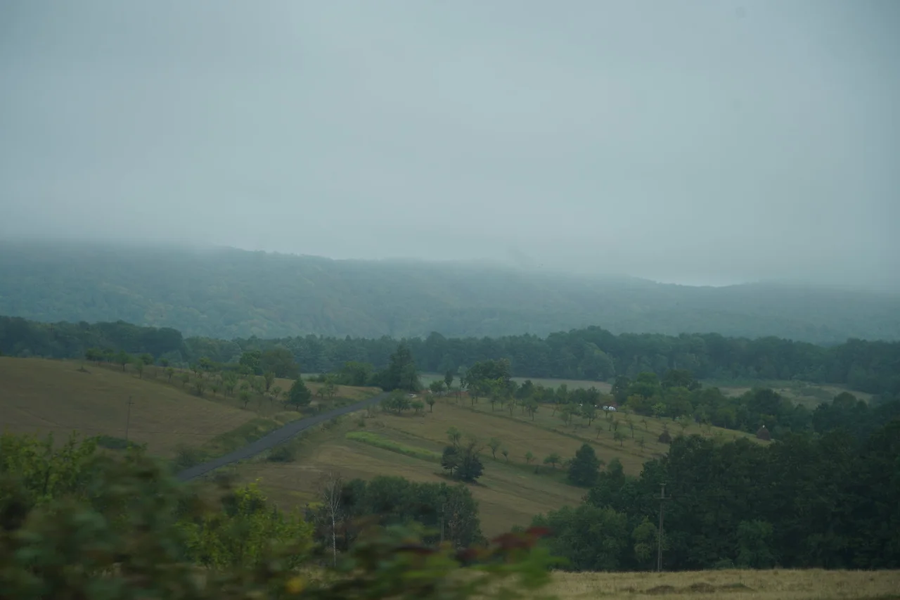 KakaoTalk_Photo_2022-09-18-09-36-10 015.jpeg