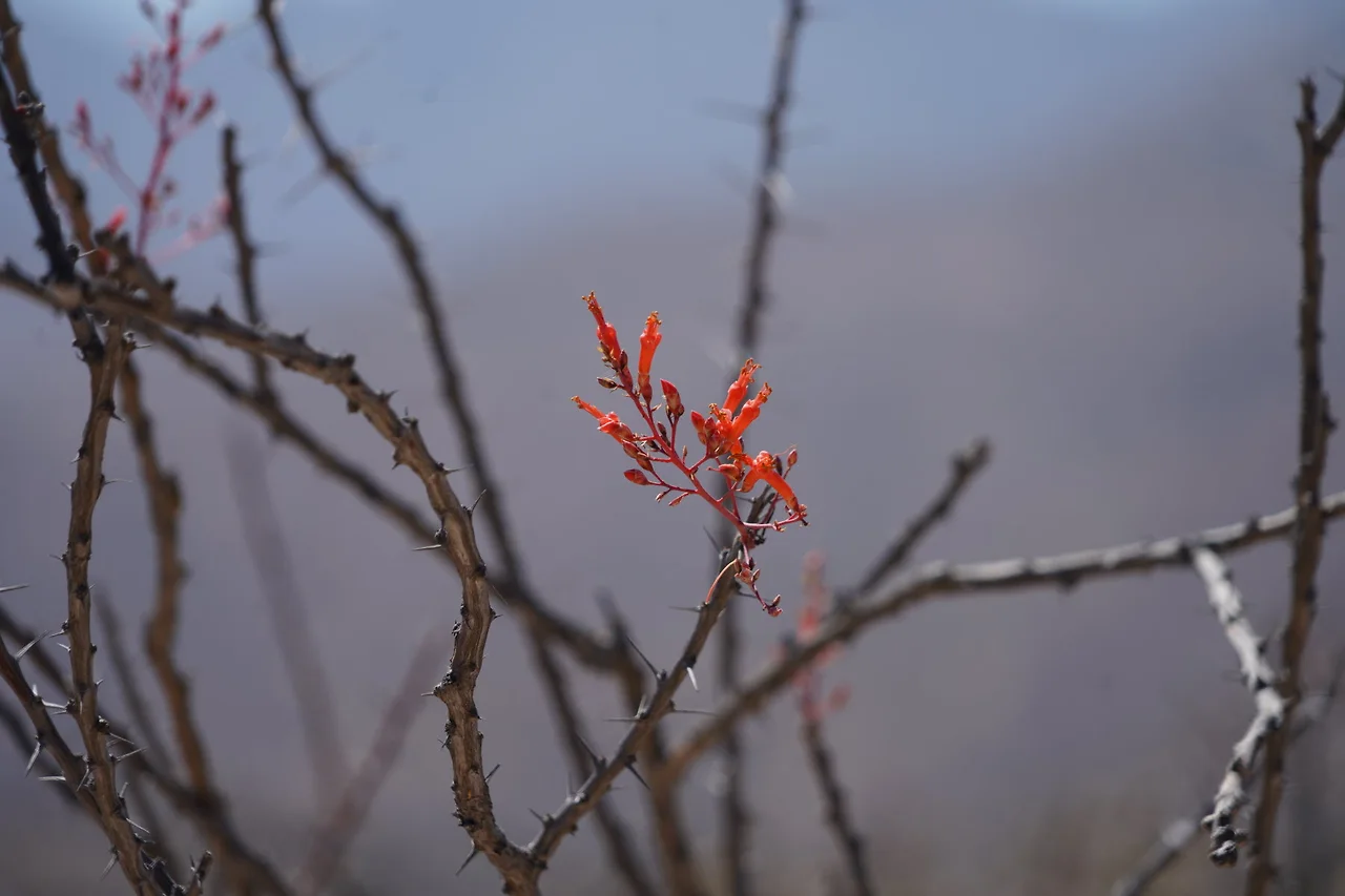 [꾸미기]DSC05909 - 복사본.JPG