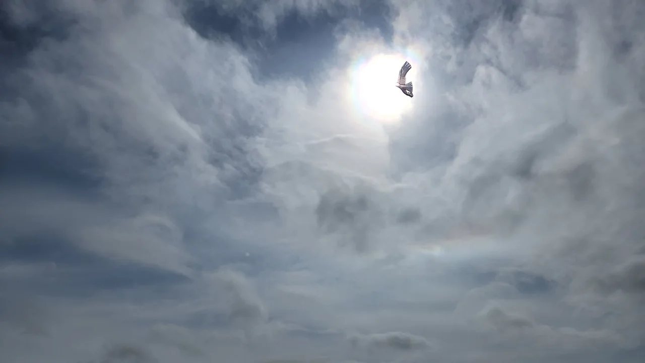 KakaoTalk_Photo_2022-07-05-23-20-06 001.jpeg